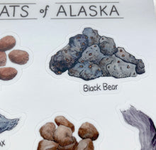 Load image into Gallery viewer, Scats of Alaska Sticker Sheet
