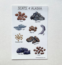 Load image into Gallery viewer, Scats of Alaska Sticker Sheet

