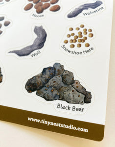 Scats of Alaska Sticker Sheet