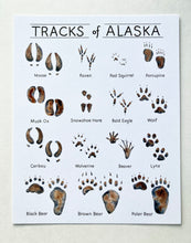 Load image into Gallery viewer, Tracks of Alaska Art Print
