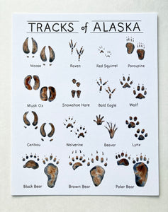 Tracks of Alaska Art Print