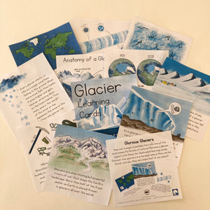 Glacier Learning Cards: Digital Download