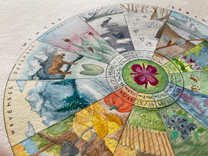 Phenology Wheel Art Print: A Year in Alaska