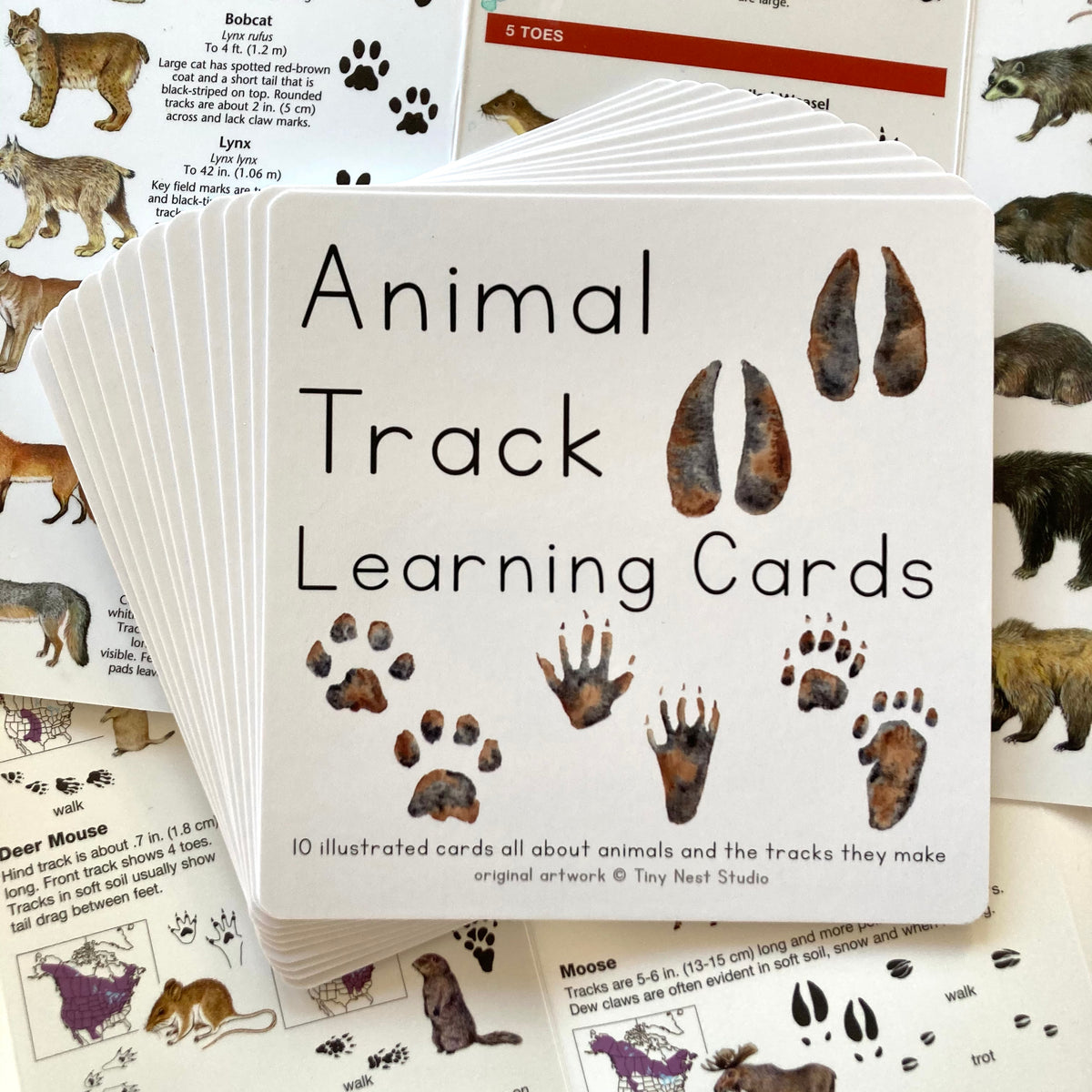 Animal Track Learning Cards – Tiny Nest Studio