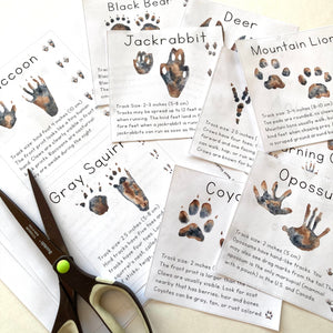 Animal Track Learning Cards: Digital Download