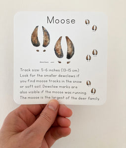 Alaska Animal Tracks Learning Cards
