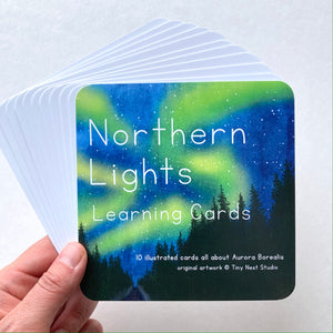 Northern Lights Learning Cards