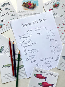 Salmon Life Cycle Coloring Page