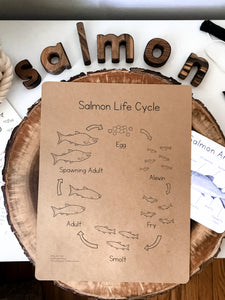 Salmon Life Cycle Digital Learning Unit