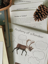 Load image into Gallery viewer, Reindeer Digital Bundle
