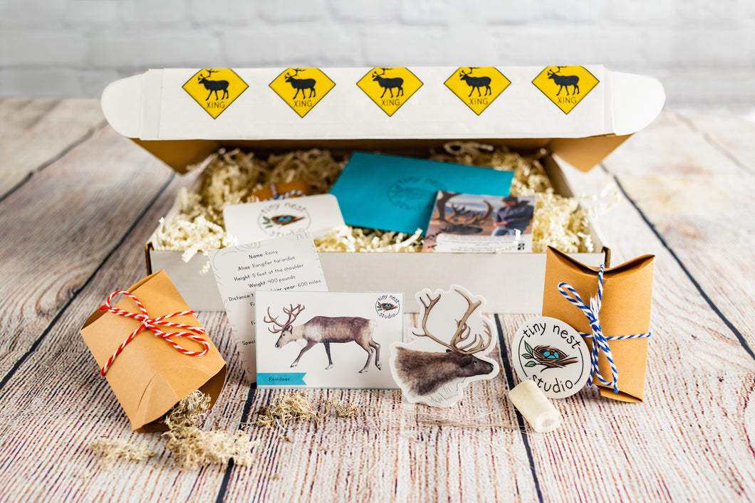 Holiday activity box open and busrting with reindeer activities.
