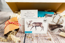 Load image into Gallery viewer, Alaska Reindeer Box
