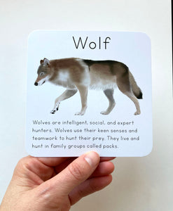 Alaska Animal Learning Cards