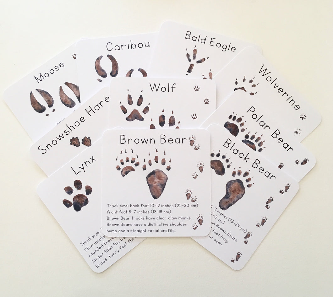 Alaska Animal Tracks Learning Cards: Digital Download