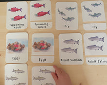 Load image into Gallery viewer, Salmon Life Cycle Digital Learning Unit
